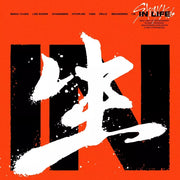 STRAY KIDS - In Life
