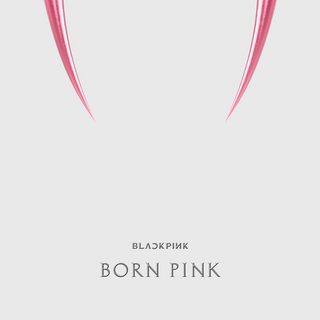 BLACKPINK - 2nd ALBUM [BORN PINK] Kit Album
