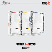 STRAY KIDS -  Go Live